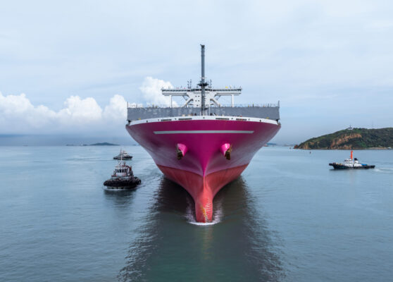 abogado panama abogado panama